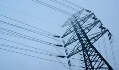 The mother went to save the electrocuted son, both of them died